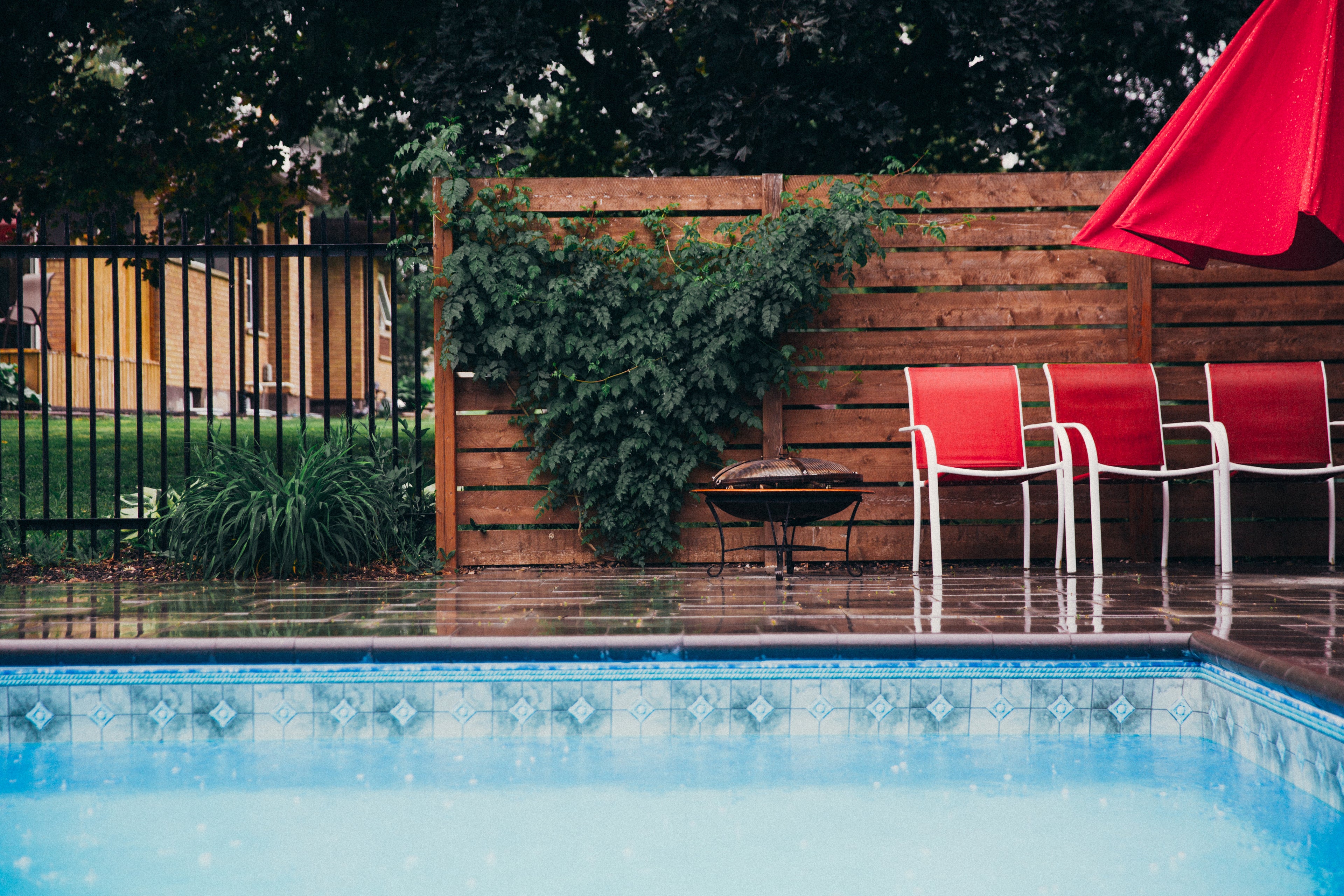 gateguard poolgate dog gate pool safety