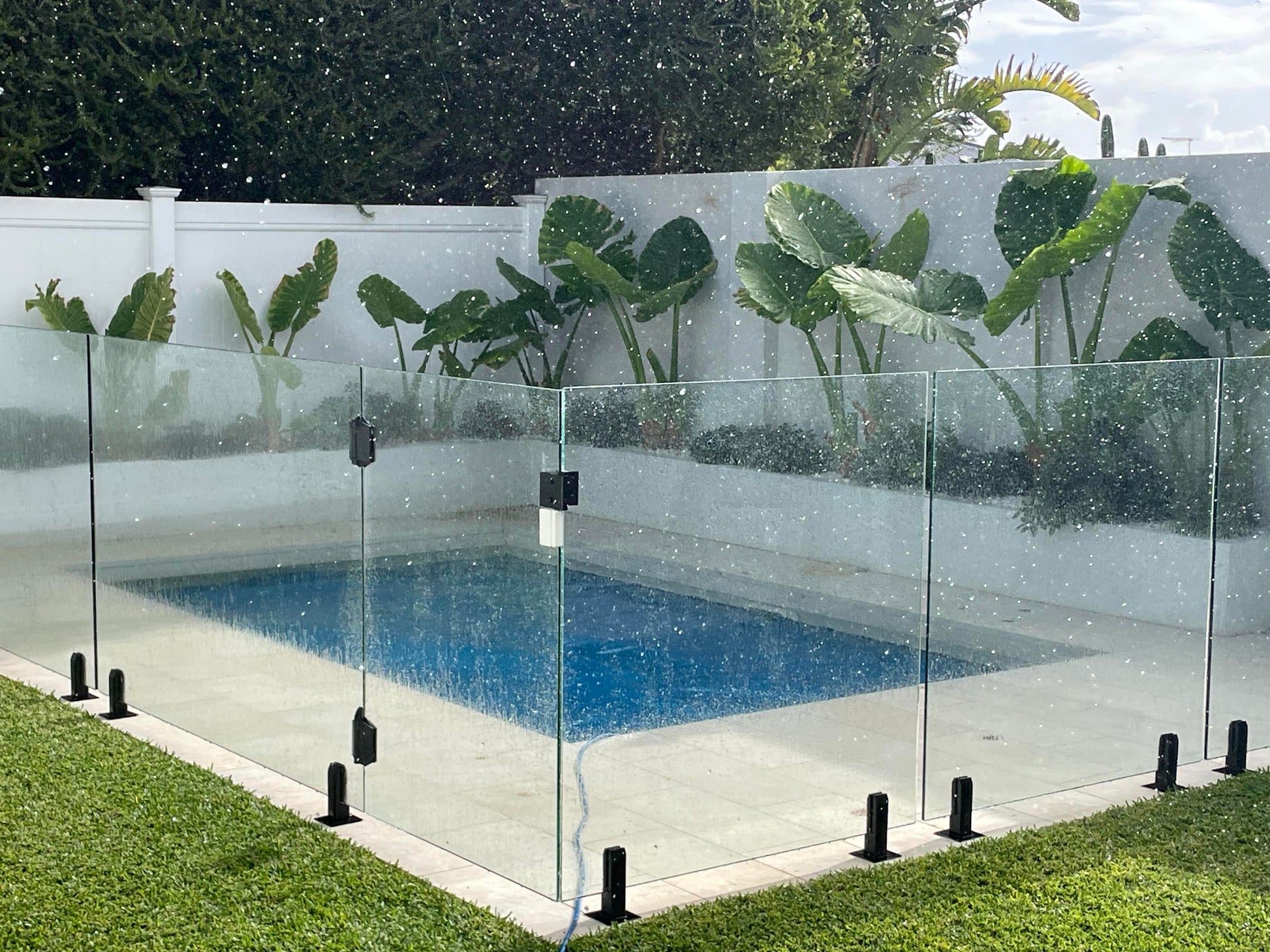gateguard poolgate dog gate pool safety